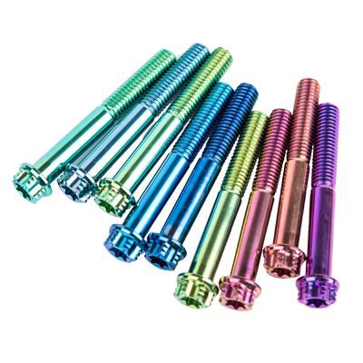 Flange Hexagon titanium Screws